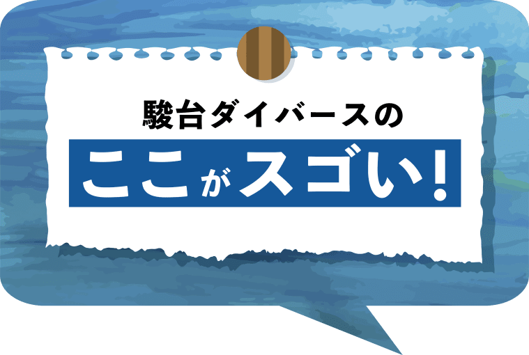 駿台ダイバースのここがスゴい！